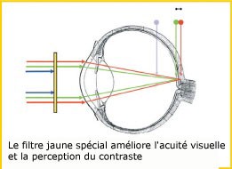 Oeuil et protection lumière bleue