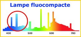 Graphique lampe fluocompacte